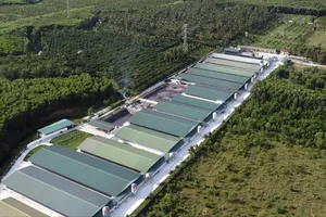 Một dự án chăn nuôi heo khép kín ở Gia Lai