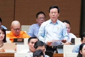 ĐB Lê Minh Nam (Cần Thơ) phát biểu tại hội trường, chiều 12-8. Ảnh: QUANG PHÚC 