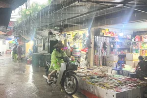 Bão số 4 có đường đi phức tạp và dị thường