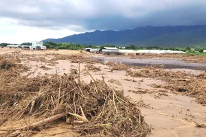 Vụ vỡ hồ chứa trên núi Tân Lai vào tháng 11-2025 khiến hàng trăm ha cây trồng của người dân xã Tuy Phong bị vùi lấp. Ảnh: TIẾN THẮNG