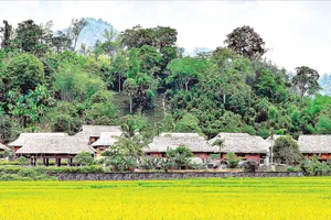 Làng quê yên bình tại thôn Tân Lập, xã Tân Trào, tỉnh Tuyên Quang (ẢNH: UÔNG NGỌC)
