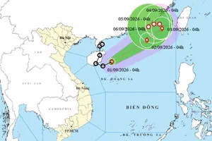 Áp thấp nhiệt đới đã mạnh lên thành bão số 5