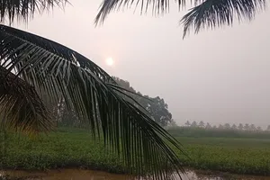 Chưa xác định được nguyên nhân "lớp mù bao phủ" nhiều nơi ở Nam bộ