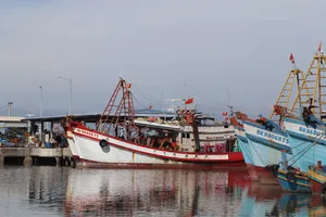 Thứ trưởng Võ Văn Hưng phát biểu tại buổi làm việc. Ảnh: TÍN HUY