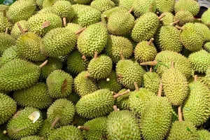 Đại tá Phạm Trường Giang, Cục phó C03, thông tin tại họp báo