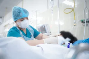 Một cháu bé nguy kịch vì cành cây rơi trúng đầu