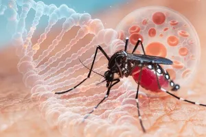 Căn bệnh Chikungunya có đáng ngại? 