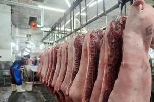Quản lý an toàn thực phẩm từ trang trại đến bàn ăn