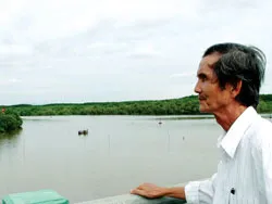 Rừng Sác sống lại