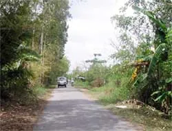 Đường về đã bớt xa...