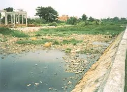 Báo động tình hình ô nhiễm kênh rạch