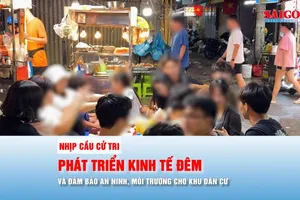 Nhịp cầu cử tri: PHÍA SAU NHỮNG CON PHỐ KHÔNG NGỦ