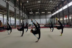 Các VĐV nỗ lực thực hiện những động tác khó