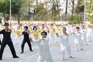 Nhiều tiết mục đồng diễn được dàn dựng công phu