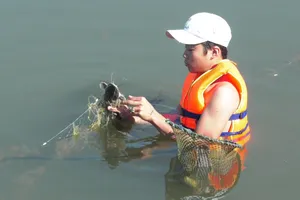 Người dân lo lắng cá chết nổi trắng trên mặt nước bốc mùi hôi tanh