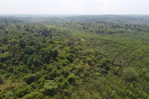 Khu bảo tồn nhìn từ trên cao