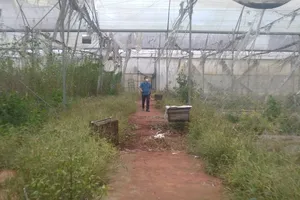 Đồng Nai: Bắt nguyên Phó Giám đốc Sở KH- CN Nguyễn Ngọc Phương