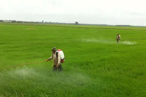 Giải pháp phát triển nông nghiệp Tây Ninh