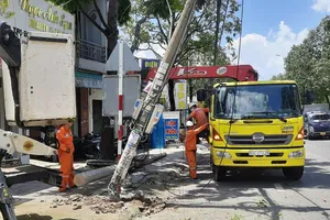Đồng Nai: Trụ điện gãy đổ, 300 hộ dân mất điện 