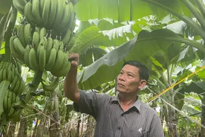 Đồng Nai: Nâng cao giá trị sản phẩm nông nghiệp nhờ chương trình OCOP