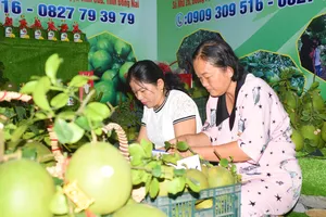 Đưa làng bưởi Tân Triều thành làng du lịch cộng đồng