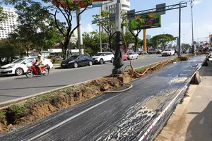 Đà Nẵng: Tổ chức điều chỉnh một phần lộ trình các tuyến xe buýt