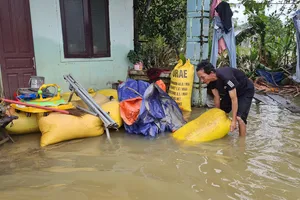 Nước lụt lên nhanh bất ngờ làm hư hỏng hơn 4 tạ lúa của một hộ dân thôn Đàn Long (xã Tam Đàn, huyện Phú Ninh) là khu vực gần dự án khu phố chợ Chiên Đàn vào đợt cuối tháng 10-2021. Ảnh: NGUYỄN CƯỜNG
