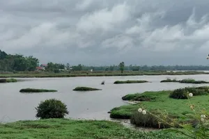 Nơi xảy ra vụ việc