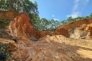 Quảng Nam: Khẩn trương xử lý nghiêm việc múc đất san lấp trái phép ở huyện Tiên Phước