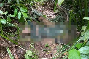 Tìm thấy thi thể người đàn ông sau 5 ngày mất tích trong rừng sâu