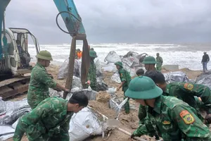 Đà Nẵng khẩn cấp kè chắn sạt lở bờ biển Hội An trước khi bão đổ bộ