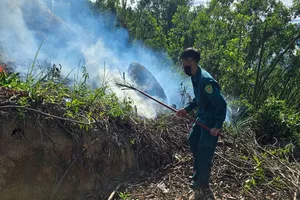 Phát hiện thi thể người đàn ông sau khi dập tắt đám cháy rừng