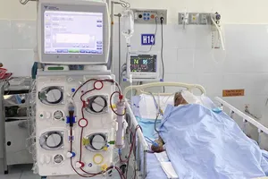 Cứu sống cụ ông 98 tuổi bị ong vò vẽ đốt gần 80 nốt