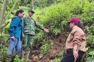 Di dời 40 hộ dân ra khỏi khu vực nguy cơ sạt lở ở Đà Nẵng