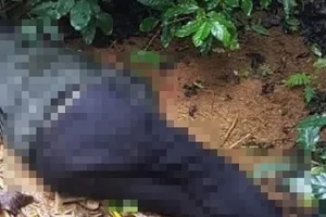 Thi thể được phát hiện trên đồi cà phê cùng khẩu súng