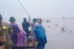 Quảng Trị: Tìm thấy thi thể người phụ nữ mất tích do mưa lũ