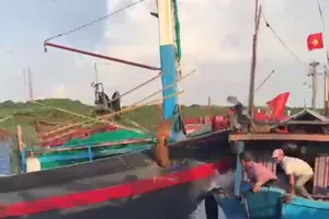 Mâu thuẫn khi hành nghề, tàu cá tông chìm tàu bạn