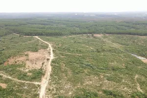 Quảng Trị sẽ thu hồi chủ trương đầu tư dự án nông nghiệp công nghệ cao của FLC 