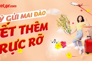 Vietjet vận chuyển mai, đào – Mang xuân đến mọi nhà