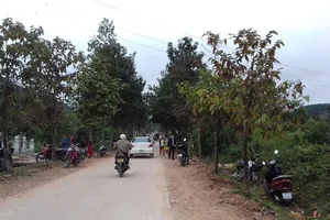 Nét đẹp tảo mộ đầu xuân