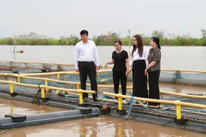 Agribank giảm lãi suất cho vay hỗ trợ người dân, doanh nghiệp phát triển sản xuất kinh doanh