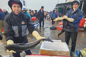 Làng biển miền Trung tất bật vào vụ tết