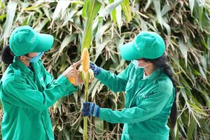 Ứng dụng chuyển đổi số trong phát triển nông nghiệp