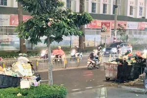 Đồng bộ nhiều giải pháp để hạn chế xả rác