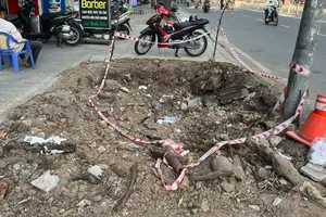 Làm mới vỉa hè, bức tử cây xanh: Đốn hạ 34 cây, xâm hại 324 cây trên địa bàn quận 5