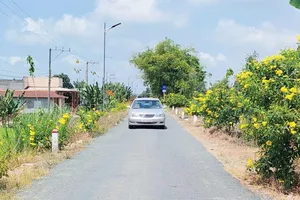 Nông thôn mới ở Đồng Tháp Mười