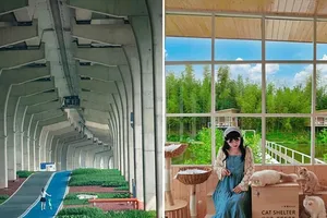 Gen Z định hình xu hướng du lịch tại Trung Quốc