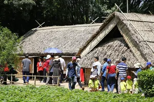 Hôm nay, khai mạc Lễ hội Làng Sen