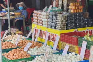 Thông tin thất thiệt về trứng gà giả: Hộ chăn nuôi, trang trại lo… phá đàn