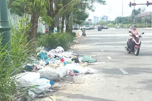 Những quy định bị… lờn: Loay hoay xử lý hành vi vứt rác bừa bãi
